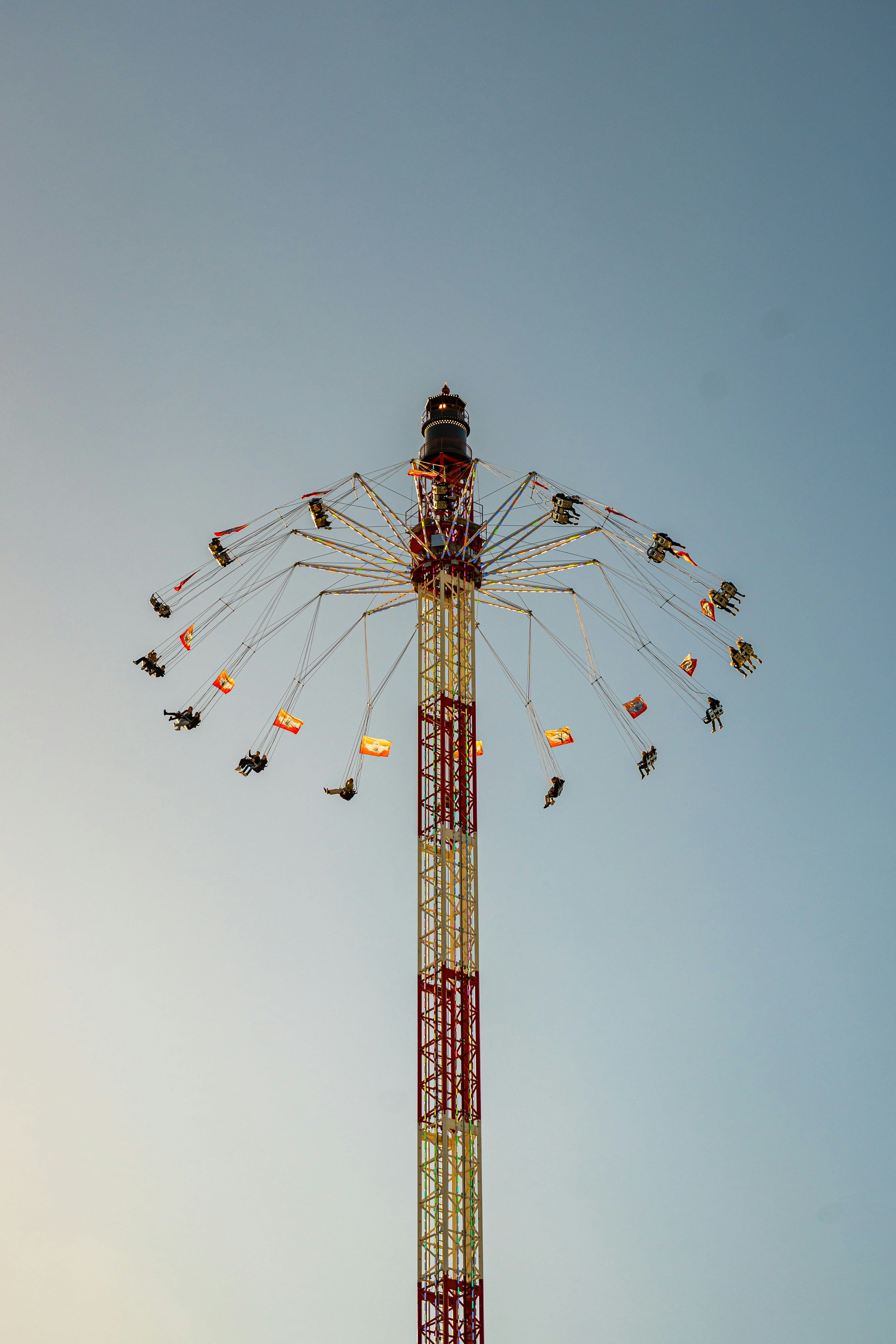 A ferris wheel with birds flying around it