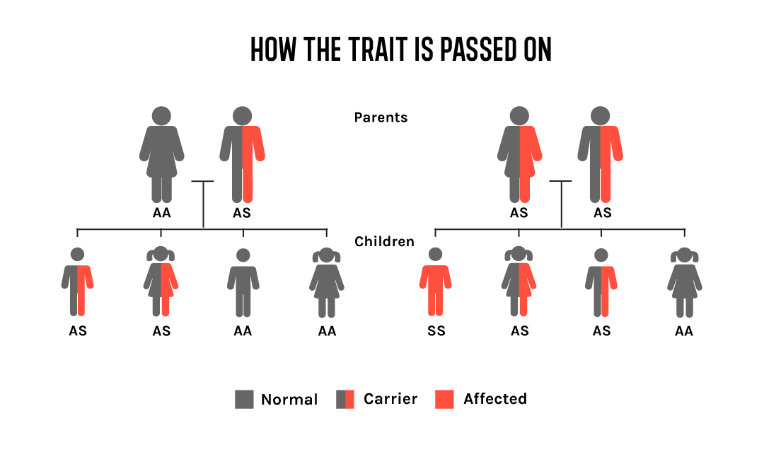 Can Sickle Cell Trait Skip A Generation