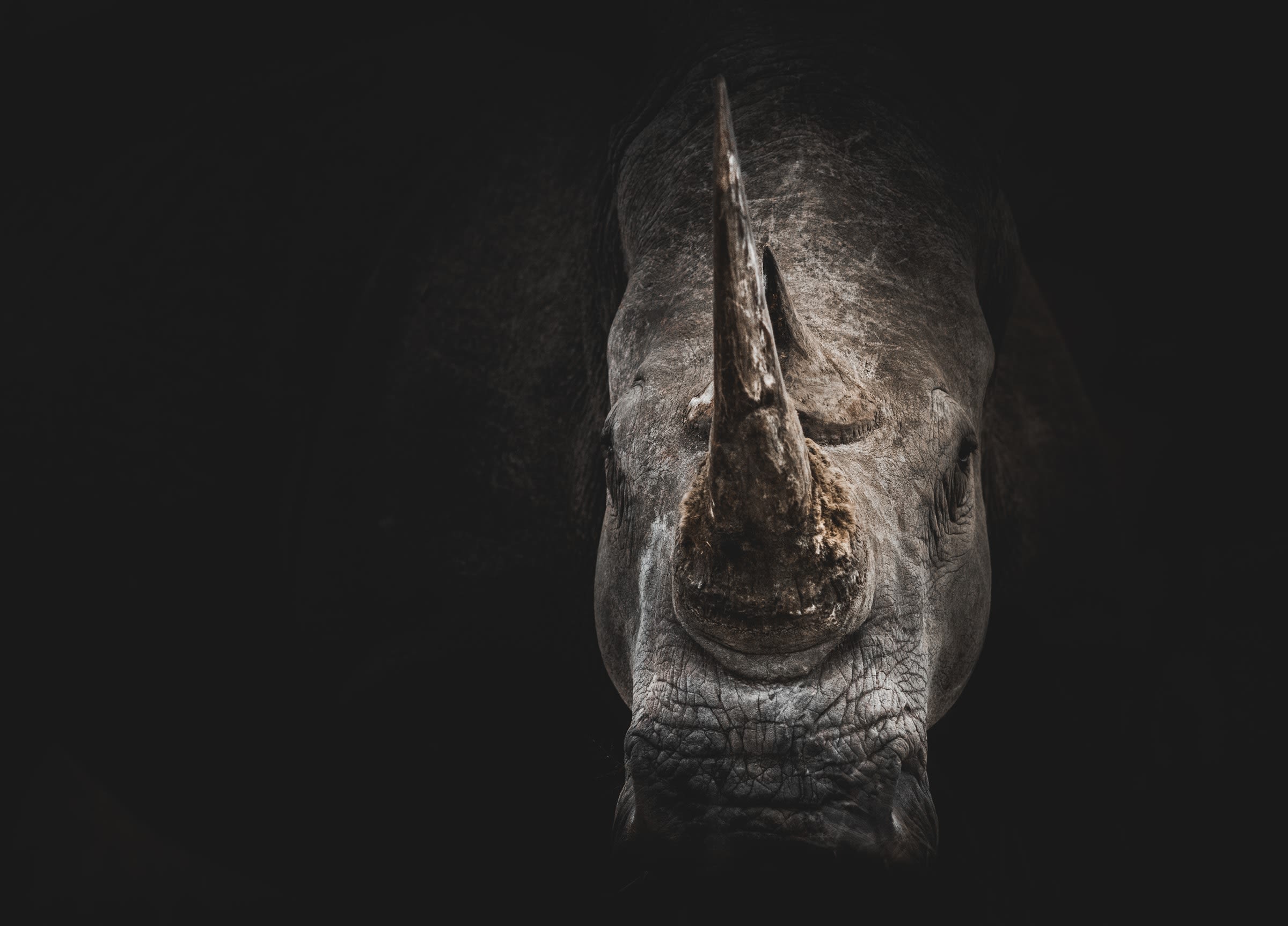 Photo by Geran de Klerk on Unsplash