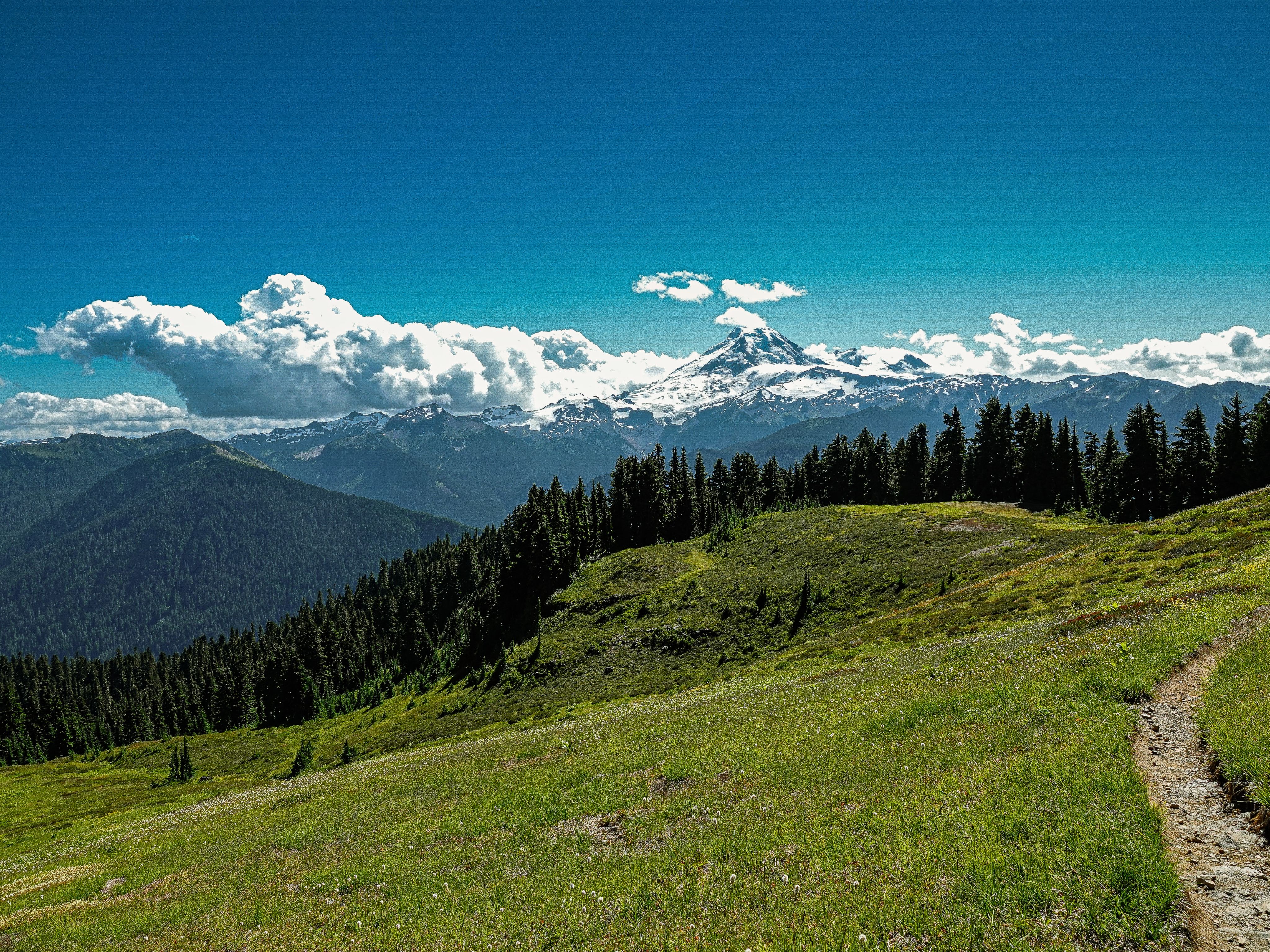green grass field near green trees and snow covered mountains under blue sky during daytime