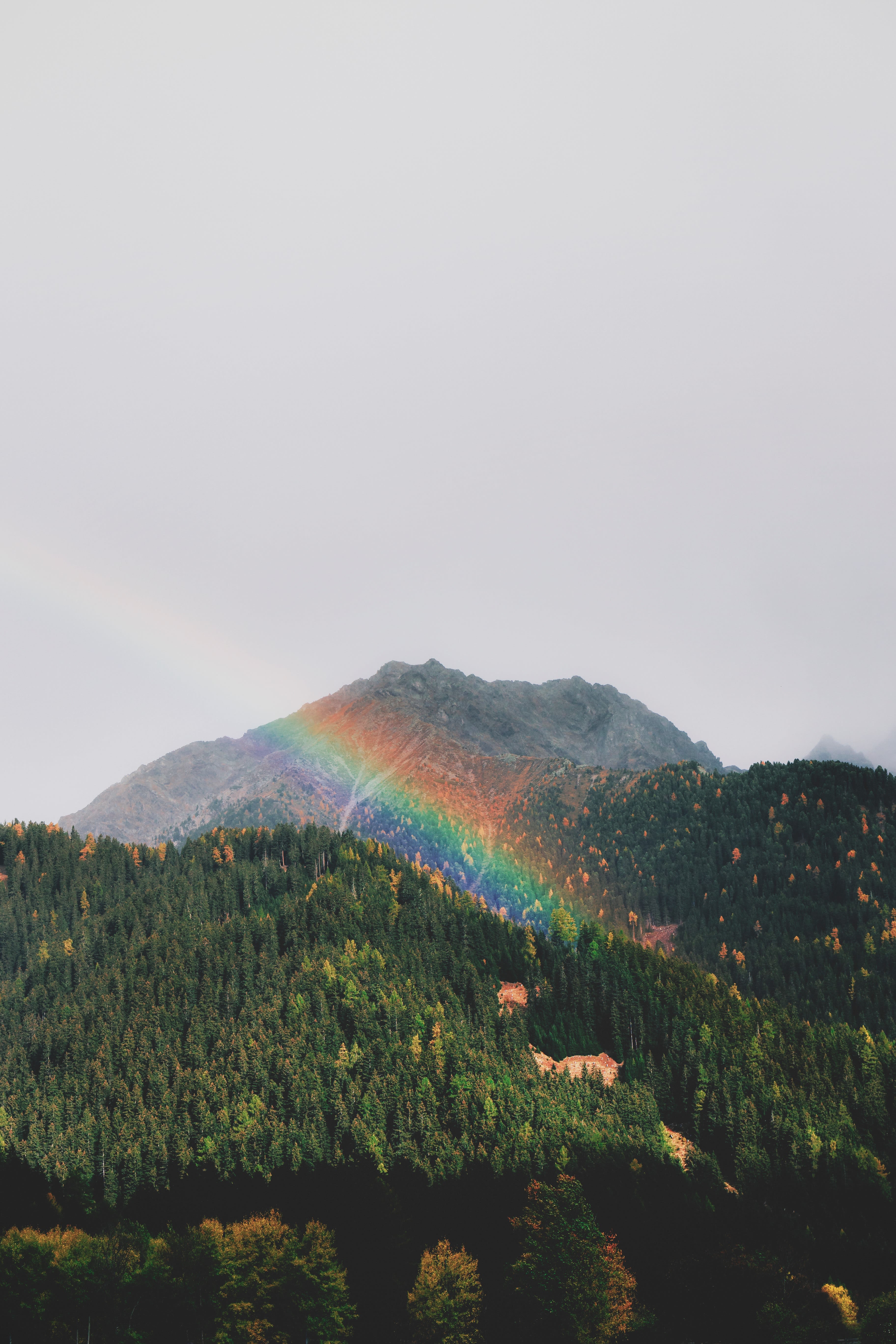 Photo by eberhard 🖐 grossgasteiger on Unsplash