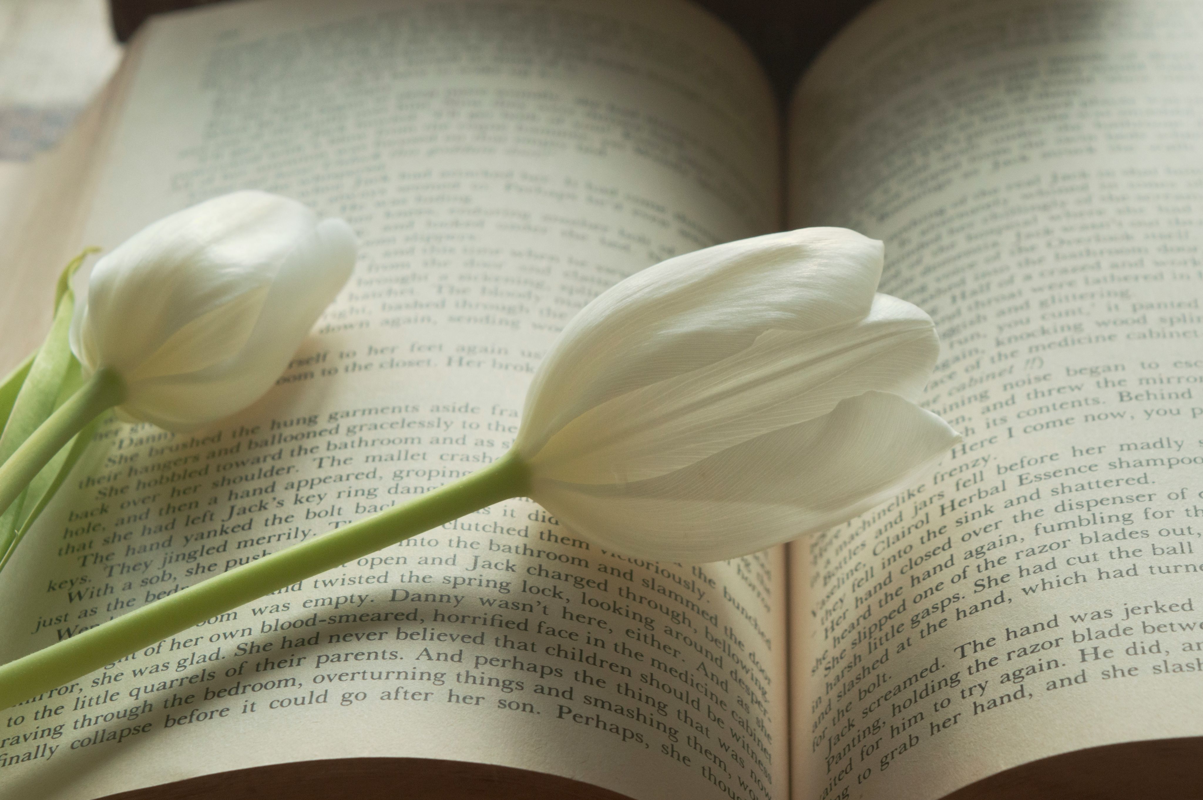 a white flower sitting on top of an open book