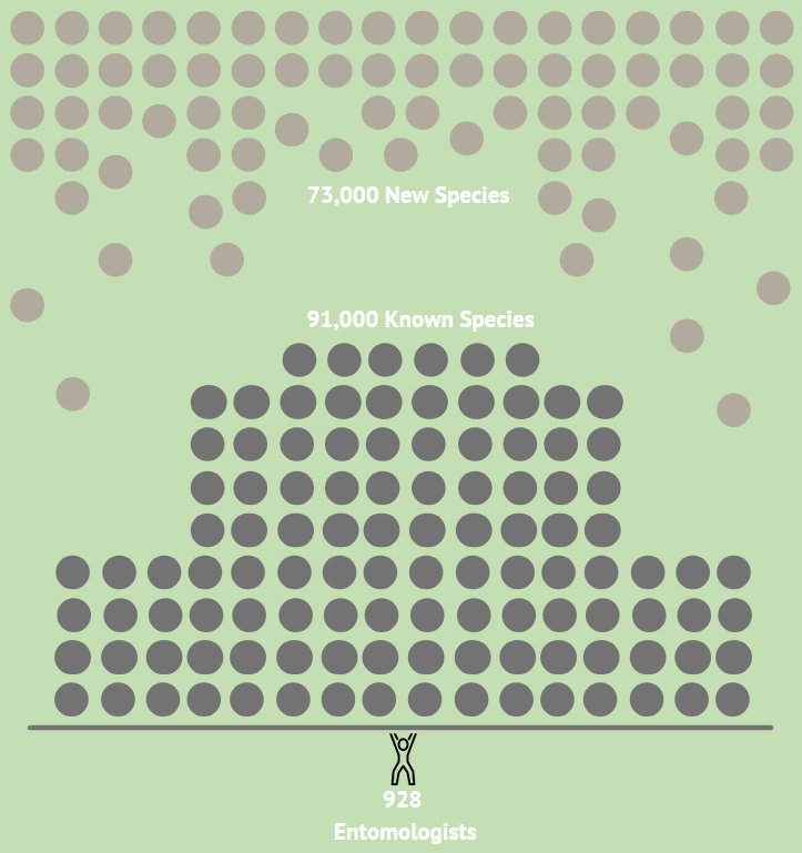 Iconograph showing that for every entomologist in the U.S, there are 98 known species and an estimated 79 species left to discover